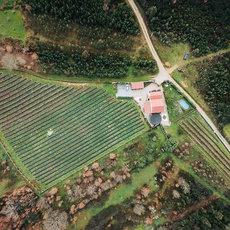 Апартаменты Quinta Vale Salgueiro Сейя Экстерьер фото