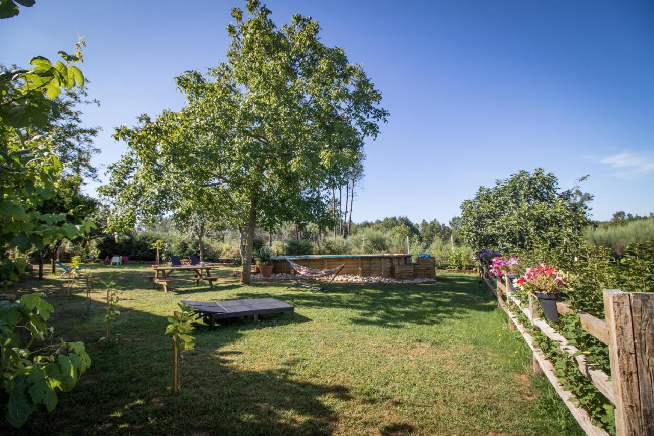 Апартаменты Quinta Vale Salgueiro Сейя Экстерьер фото