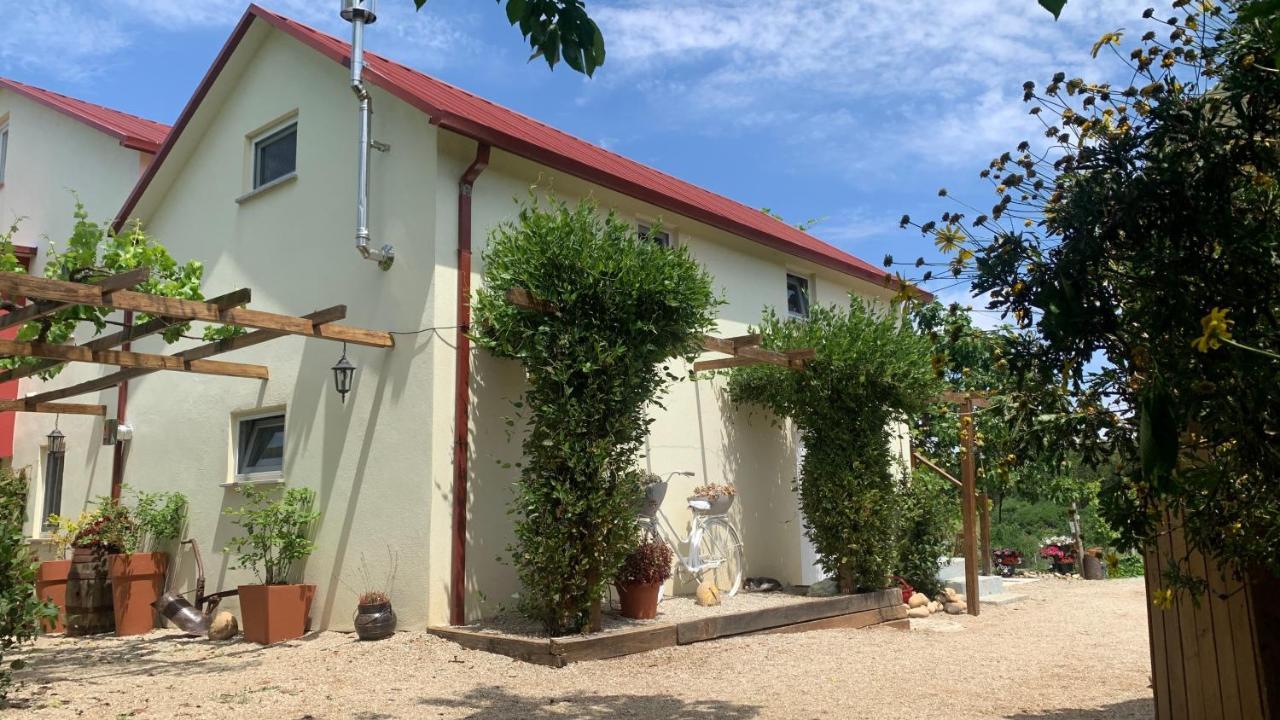 Апартаменты Quinta Vale Salgueiro Сейя Экстерьер фото