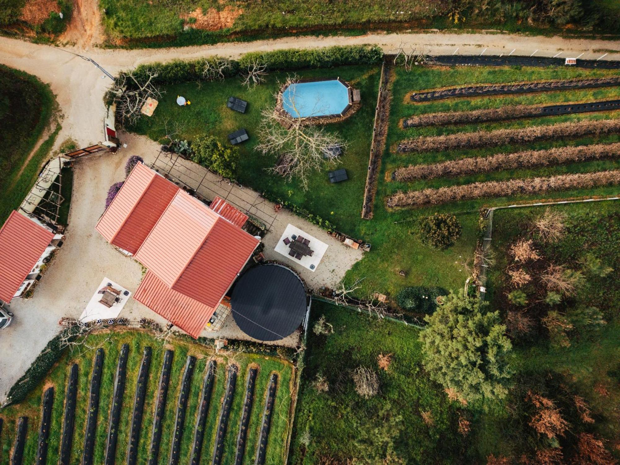 Апартаменты Quinta Vale Salgueiro Сейя Экстерьер фото