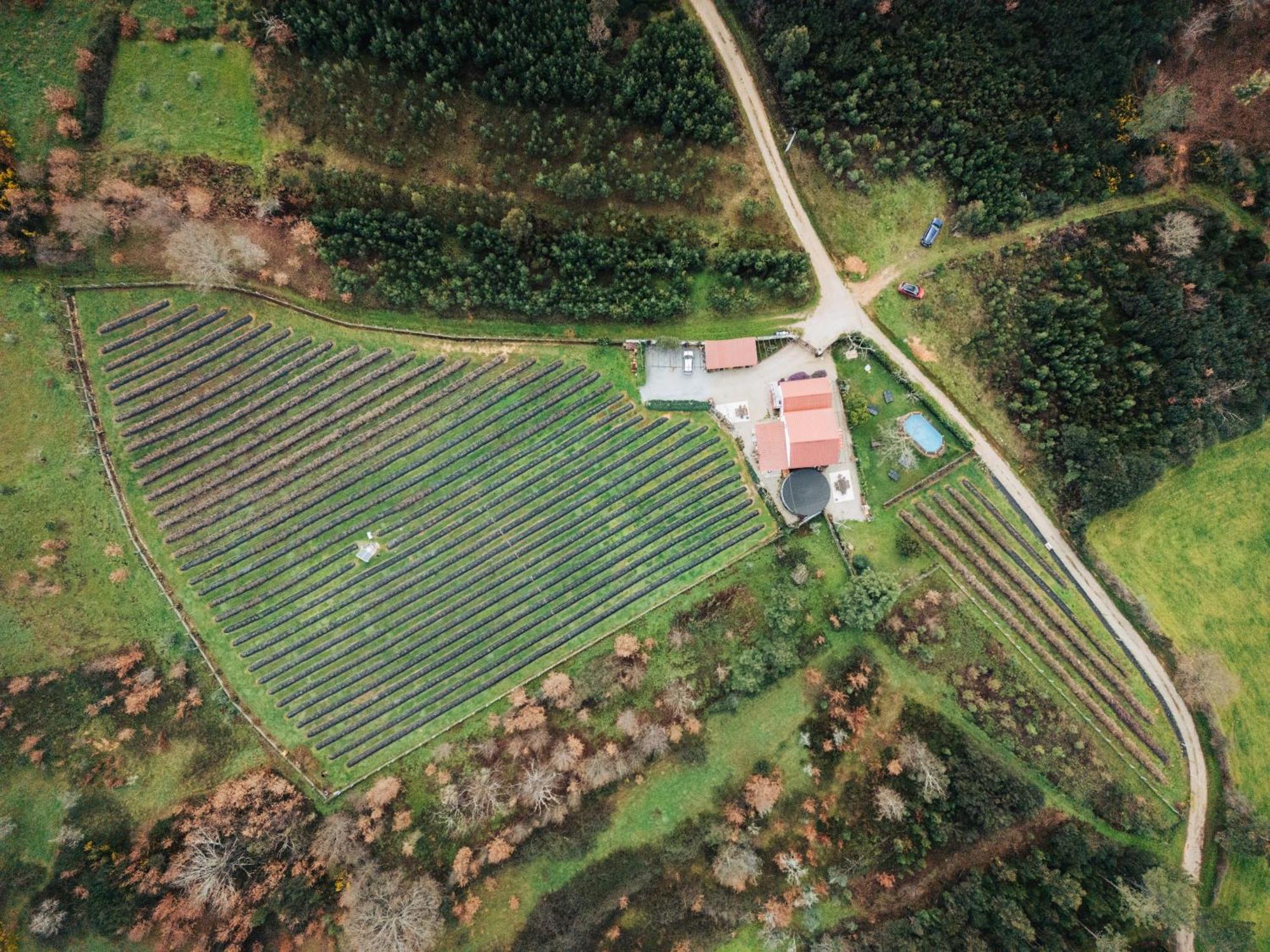 Апартаменты Quinta Vale Salgueiro Сейя Экстерьер фото