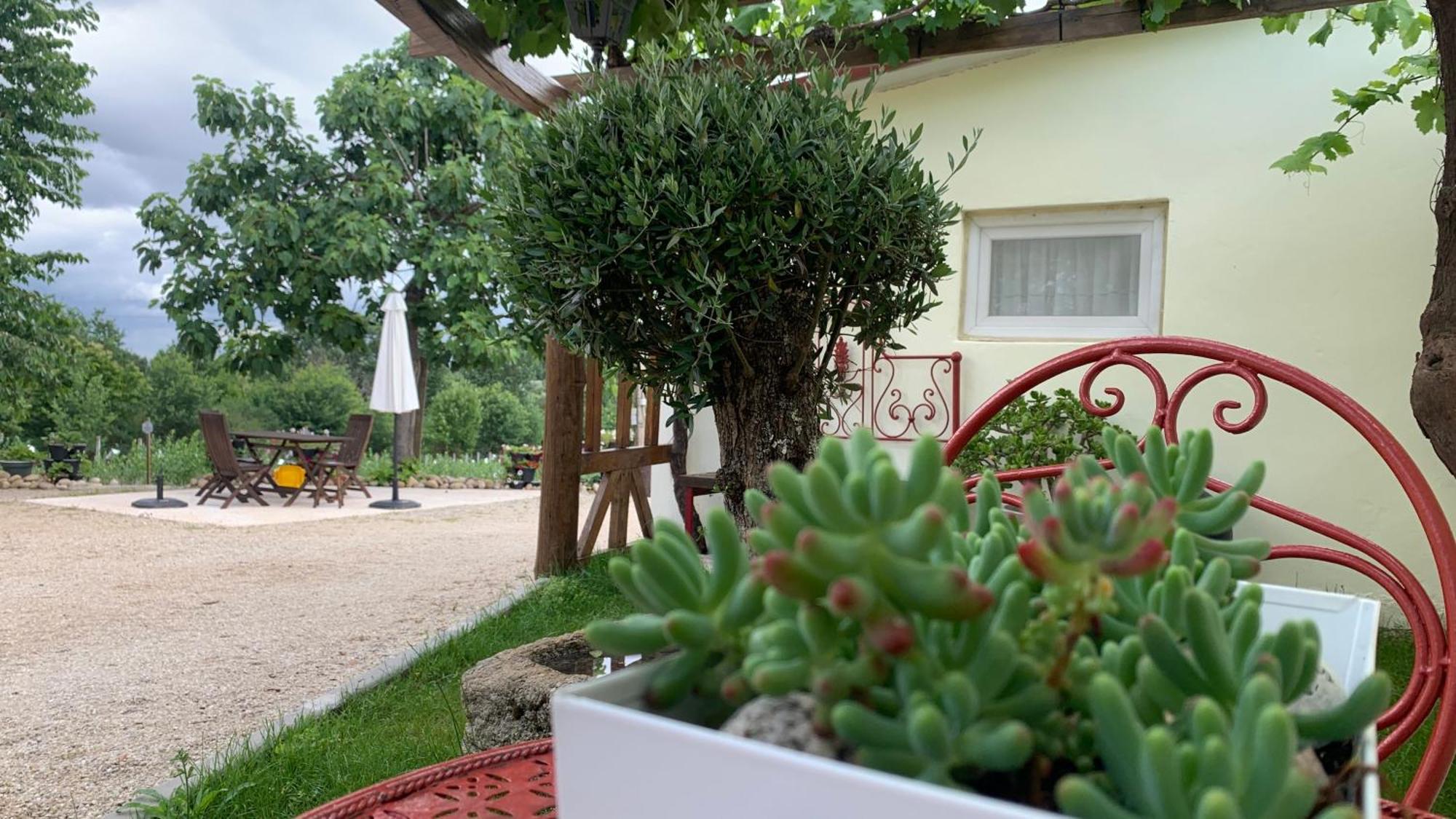 Апартаменты Quinta Vale Salgueiro Сейя Экстерьер фото