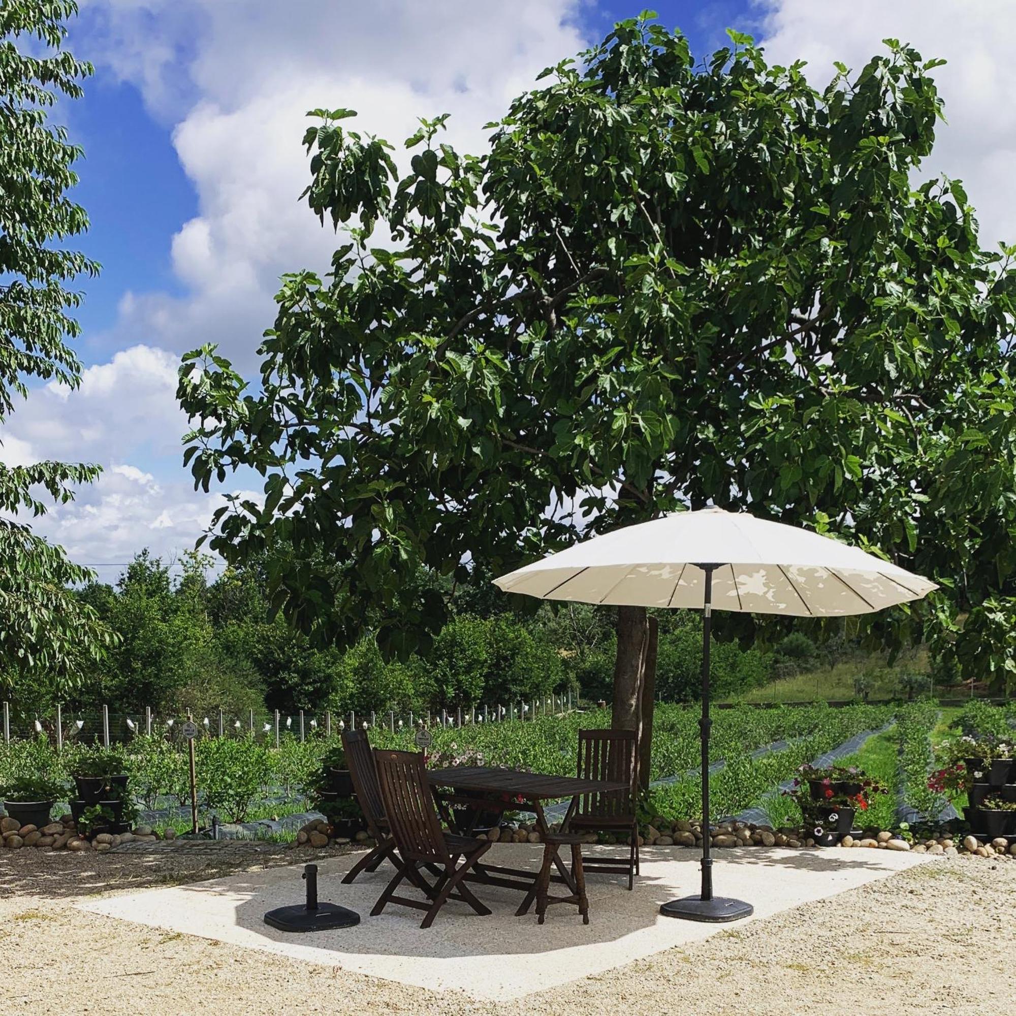 Апартаменты Quinta Vale Salgueiro Сейя Экстерьер фото
